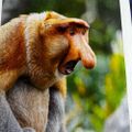 Profile picture wiggleproducts.bsky.social