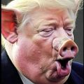 Profile picture nick6767.bsky.social