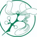 Profile picture folkloresociety.bsky.social