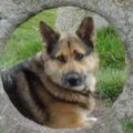 Profile picture freyalyn.bsky.social