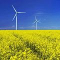 Profile picture sustainable2050.bsky.social