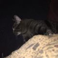 Profile picture babymacil.bsky.social