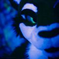 Profile picture thelionthot.bsky.social