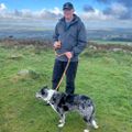 Profile picture justrowey.bsky.social