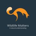 Profile picture wildlife-matters.bsky.social