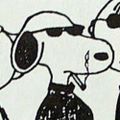 Profile picture snide.bsky.social