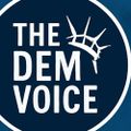 Profile picture thedemvoice1.bsky.social
