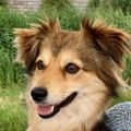Profile picture willemvisser.bsky.social