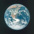 Profile picture reetspetit.bsky.social