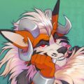 Profile picture lolofennec.bsky.social