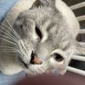 Profile picture mona-minnesota.bsky.social