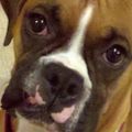 Profile picture bcwilson.bsky.social