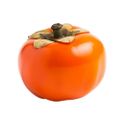Profile picture oldfruit.bsky.social