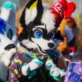 Profile picture electromonster.bsky.social