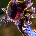 Profile picture thesilverace01.bsky.social