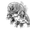 Profile picture jaroslawdzedzej.bsky.social
