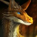 Profile picture wynndeegogh.bsky.social