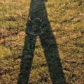 Profile picture boniffac81.bsky.social