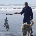 Profile picture willallennz.bsky.social