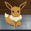 Profile picture aftotopokemo.bsky.social