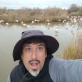 Profile picture nperezmendez.bsky.social