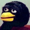 Profile picture madducks.pinblog.com