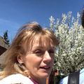 Profile picture clover4all.bsky.social