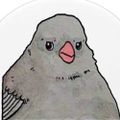 Profile picture birdsareprobablyreal.com