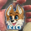 Profile picture douglascorgi.bsky.social