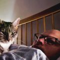 Profile picture pnoodles.bsky.social