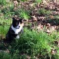 Profile picture missvoodvard.bsky.social