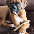 Profile picture bjornsdotter.bsky.social