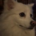 Profile picture mandy5575.bsky.social
