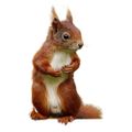 Profile picture ratatosk84.bsky.social