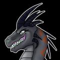 Profile picture reikabird.bsky.social