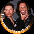 Profile picture bjardii.bsky.social