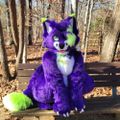 Profile picture puramufox.bsky.social