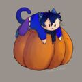 Profile picture drewthepet.bsky.social