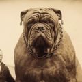 Profile picture bigdogfpl.bsky.social