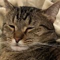 Profile picture famousprophets.bsky.social