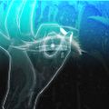 Profile picture phocusedonyou.bsky.social