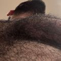 Profile picture jjjootaaa.bsky.social