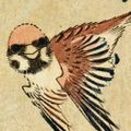Profile picture unmoineau.bsky.social