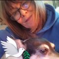 Profile picture noradermody728.bsky.social