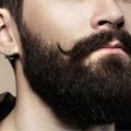Profile picture norlond.bsky.social