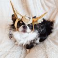 Profile picture lokijuankenobi.com