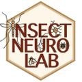 Profile picture insectneurolab.bsky.social