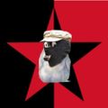 Profile picture rednici.bsky.social