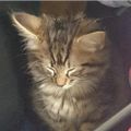 Profile picture stitchintime.bsky.social