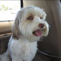 Profile picture linda-d.bsky.social